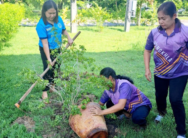 ศูนย์ถ่ายทอดเทคโนโลยีการสหกรณ์ที่ 17 จังหวัดสงขลา ... พารามิเตอร์รูปภาพ 2